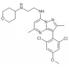 CP-671906-01