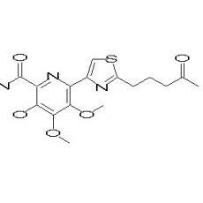 Karnamicin B1