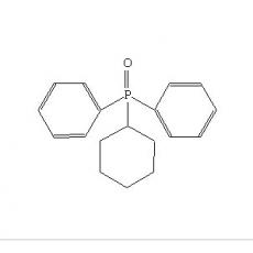 ˫