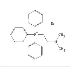 (2-׻һ)廯