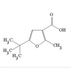 5---2-׻߻-3-