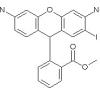 Iododihydrorhodamine 123, Iodo-reduced Rhodamine 123