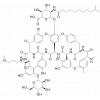 Dalbavancin, V-Glycopeptide, VER-001, BI-397 factor B0, BI-397