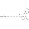 Elaidic acid-Cytarabine