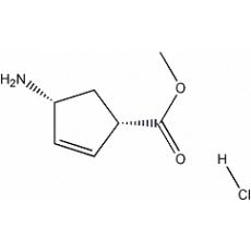 (1S,4R)-4---2-ϩ-1-