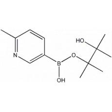 2-׻-5-ƵǴ