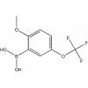 2-Methoxy-5-(trifluoromethoxy)phenylboronic acid