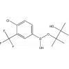 4-Chloro-3-(trifluoromethyl)phenylboronic acid pinacol ester