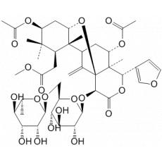 Azecin 1