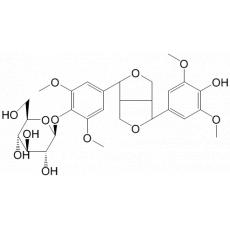 ޹ B