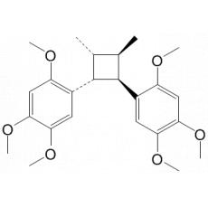 Andamanicin