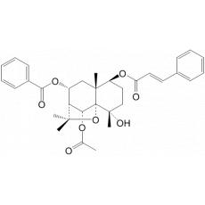 5--1--8--4-ǻ߻