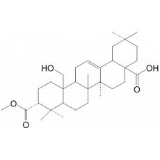 3--25-ǻ뉁-12-ϩ-28-