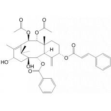 2--5-Ƥ-1£13-ǻ-42011-ɼϩ