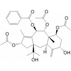 13-ҶϺײ