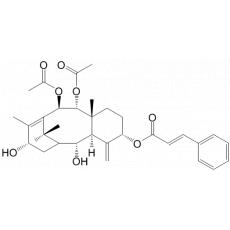 5-Ƥ-213-ǻ-910--42011-ɼϩ