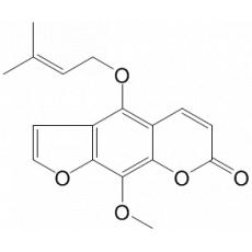 8-׻ŷǰ