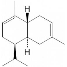 L-ϩ