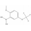 2-Methoxy-5-(trifluoromethoxy)phenylboronic acid