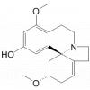 Coccutrine