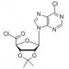 1'-deoxy-1'-(6-chloro-9H-purin-9-yl)2',3'-O-isopropylidene--D-ribofuranosyl chloride