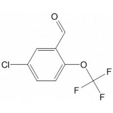 5--2-ȩ