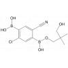 4-Chlorobenzonitrile-2,5-diboronic acid neopentyl glycol ester