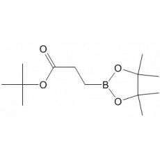 tert-Butyl 3-(4,4,5,5-tetramethyl-[1,3,2]dioxaborolan-2-yl) propionate