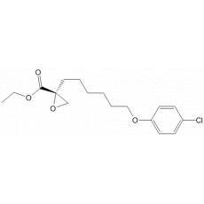 Etomoxir