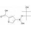 2-Carboxythiophene-4-boronic acid pinacol ester