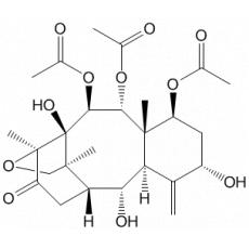 2a-ȥ-5a-ȥƤŷɼ