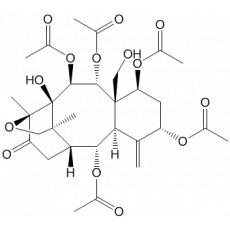 19-ȥ-19-ɼM