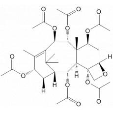 1-ȥǽùIV