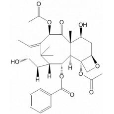 1-ȥǽùIII