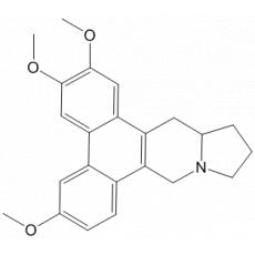 7-Ѽ޶ټ