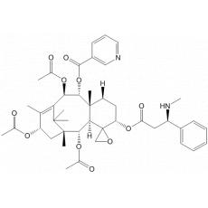 N-Demethylnicaustrine