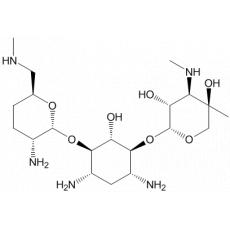 Sagamacin