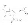 Ritipenem sodium