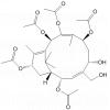 5-Deacetyltaxachitriene B