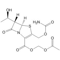 Ritipenem Acoxil