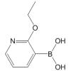 2-Ethoxypyridine-3-boronic acid