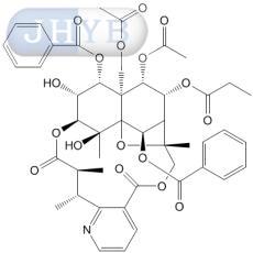 Euophelline