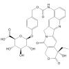 9-Aminocamptothecin glucuronide