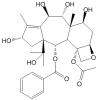 7,13-Dideaceyl-9,10-debenzoyltaxchinin C