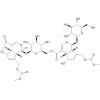 Dimer iridoid glucoside 12