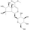 7-Epiphlomiol