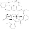 Euophelline