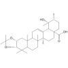 Euscaphic acid 2,3-monoacetonide