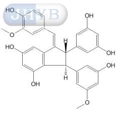 Gnetulin