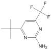 2--4-׻-6-嶡